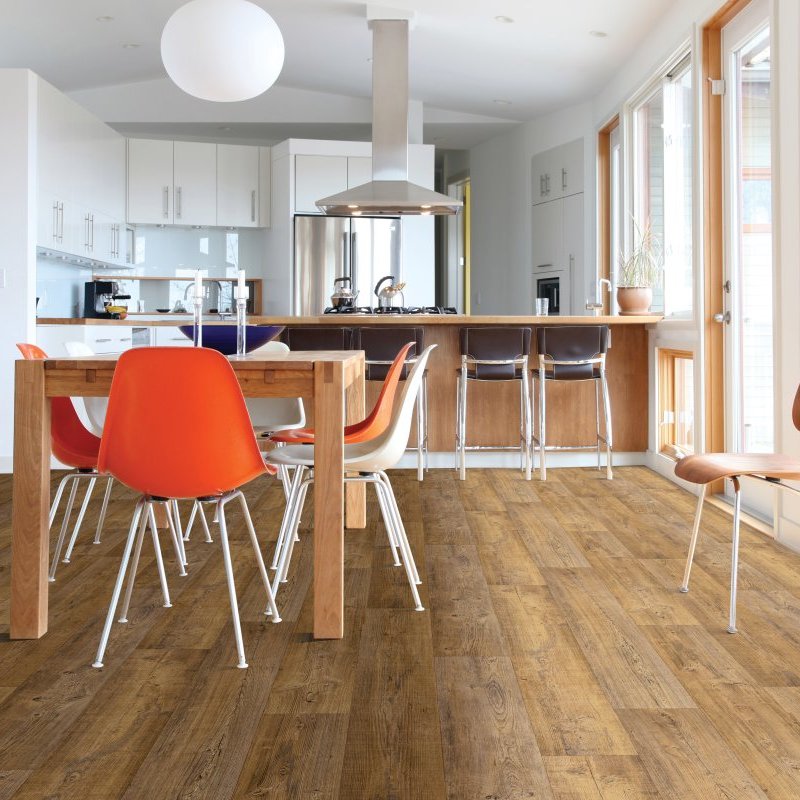 Williams Carpet Inc providing pet friendly waterproof vinyl flooring in Okemos, MI - Anders Point